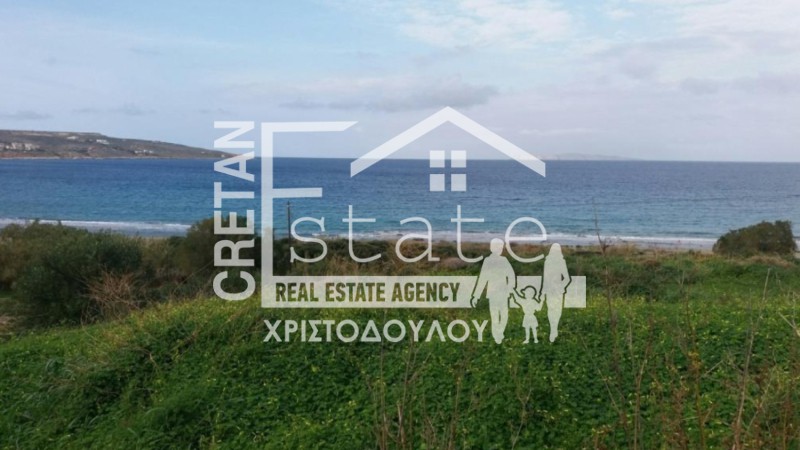 Οικόπεδο 14.000 τ.μ. προς πώληση, Τρυπητός