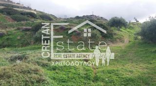 Οικόπεδο 14.000 τ.μ. για πώληση, Ν. Λασιθίου, Σητεία-thumb-11