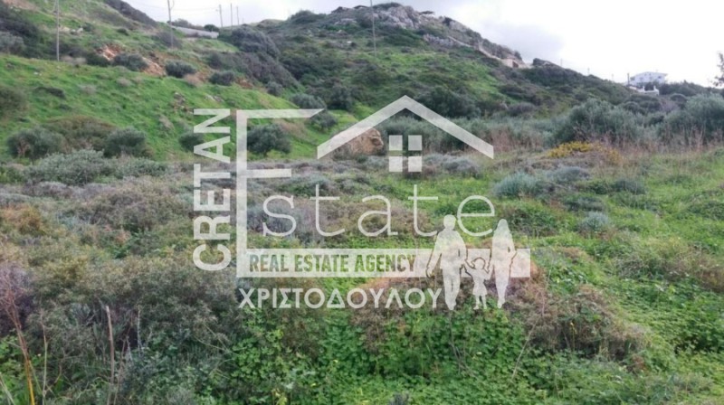 Οικόπεδο 14.000 τ.μ. προς πώληση, Τρυπητός