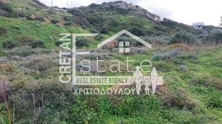 Οικόπεδο 14.000 τ.μ. για πώληση, Ν. Λασιθίου, Σητεία-thumb-3