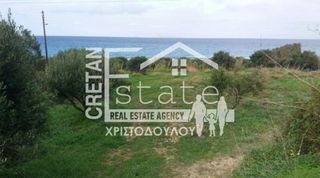 Οικόπεδο 14.000 τ.μ. για πώληση, Ν. Λασιθίου, Σητεία-thumb-5