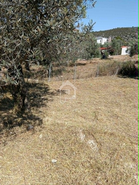 Οικόπεδο 257 τ.μ. προς πώληση, Κάτω Αλμυρή