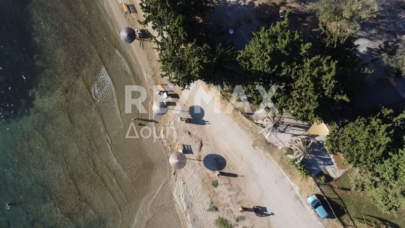 Επιχείρηση 73 τ.μ. πρός πώληση, Μαγνησία, Νέα Αγχίαλος
