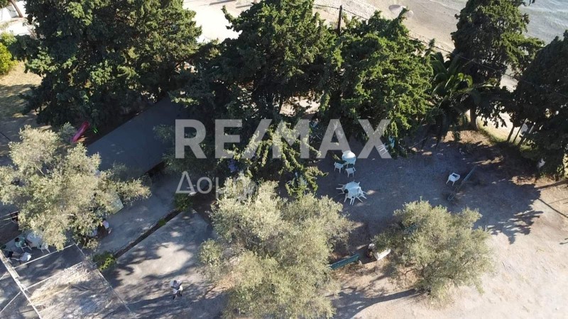 Επιχείρηση 73 τ.μ. πρός πώληση, Μαγνησία, Νέα Αγχίαλος