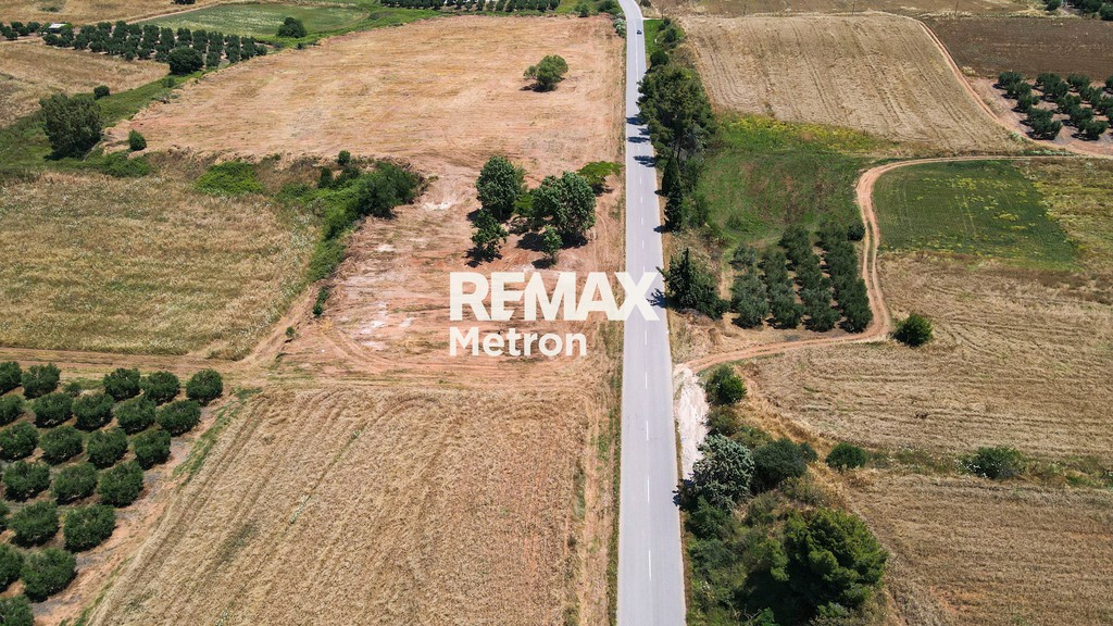 Αγροτεμάχια 4.310 τ.μ. πρός πώληση, Χαλκιδική, Κασσάνδρα