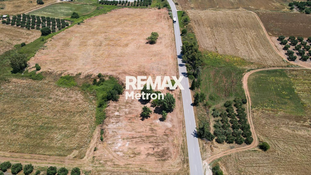 Αγροτεμάχια 4.310 τ.μ. πρός πώληση, Χαλκιδική, Κασσάνδρα