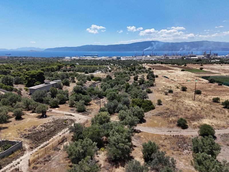 Οικόπεδο 7.000 τ.μ. πρός πώληση, Κορινθία, Άγιοι Θεόδωροι