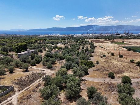 Οικόπεδο 7.000 τ.μ. πρός πώληση