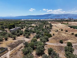 Οικόπεδο 7.000 τ.μ. για πώληση