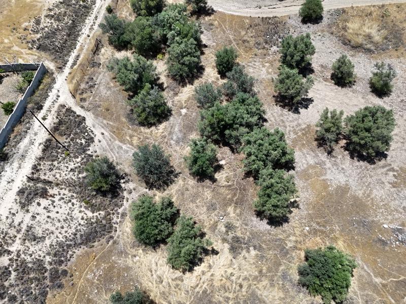 Οικόπεδο 7.000 τ.μ. πρός πώληση, Κορινθία, Άγιοι Θεόδωροι