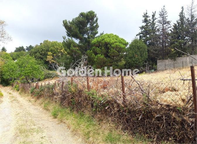 Οικόπεδο 1.579 τ.μ. πρός πώληση, Μαγνησία, Αφέτες