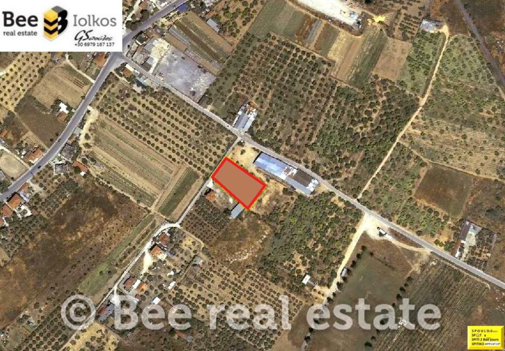 Οικόπεδο 1.681 τ.μ. πρός ενοικίαση, Μαγνησία, Αισωνία