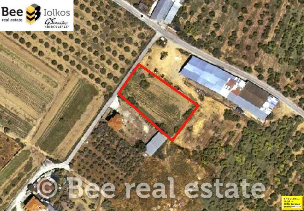 Οικόπεδο 1.681 τ.μ. πρός ενοικίαση, Μαγνησία, Αισωνία