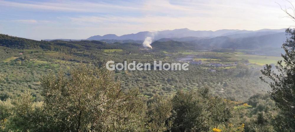 Αγροτεμάχια 112.000 τ.μ. προς πώληση, Ράχη Γυθείου