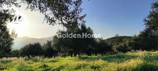 Αγροτεμάχια 112.000 τ.μ. για πώληση