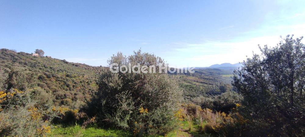 Αγροτεμάχια 112.000 τ.μ. προς πώληση, Ράχη Γυθείου