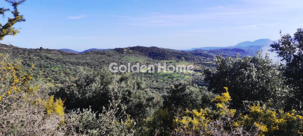 Αγροτεμάχια 112.000 τ.μ. προς πώληση, Ράχη Γυθείου