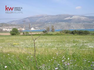Αγροτεμάχια 13.823 τ.μ. για πώληση