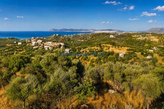 Οικόπεδο 4.000 τ.μ. για πώληση