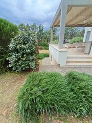 Καλλωπισμός Περιποίηση Κήπων