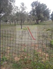 Αγροτεμάχια 1.286 τ.μ. για πώληση