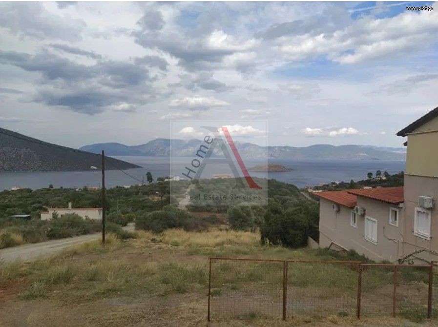 Οικόπεδο 1.230 τ.μ. προς πώληση, Αμπελάκι Ανθηδώνος