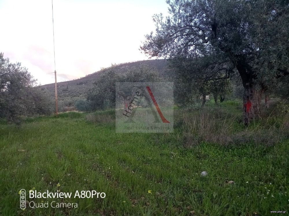 Αγροτεμάχια 1.462 τ.μ. προς πώληση, Αθίκια