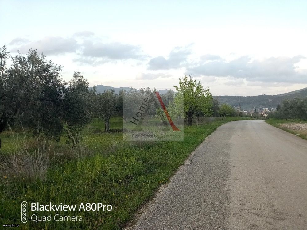 Αγροτεμάχια 1.462 τ.μ. προς πώληση, Αθίκια