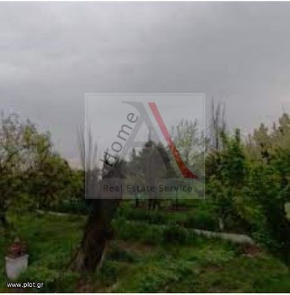 Οικόπεδο 800 τ.μ. για πώληση, Ν. Καρδίτσας, Άρνη