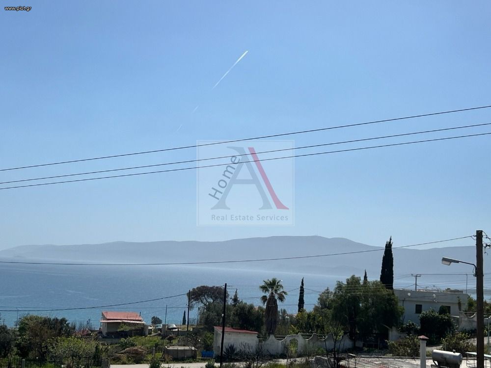 Αγροτεμάχια 250 τ.μ. προς πώληση, Γαλότα