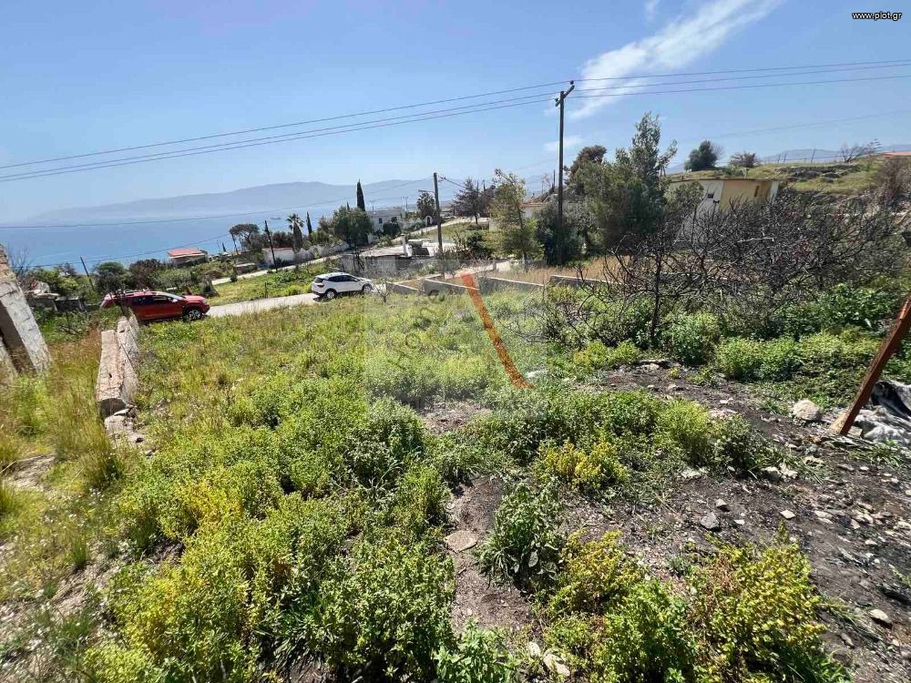 Αγροτεμάχια 250 τ.μ. προς πώληση, Γαλότα