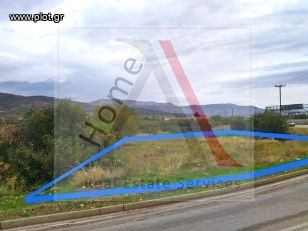 Οικόπεδο 568 τ.μ. προς πώληση, Κέντρο Αγίων Θεοδώρων