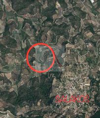 Αγροτεμάχια 5.000 τ.μ. για πώληση