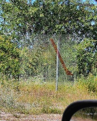 Οικόπεδο 400 τ.μ. προς πώληση, Κουμαριάς