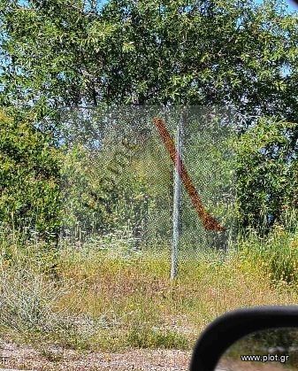Οικόπεδο 400 τ.μ. για πώληση, Κορινθία, Ευρωστίνη