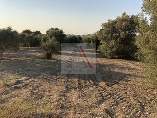 Οικόπεδο 1.670 τ.μ. για πώληση