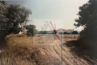 Οικόπεδο 1.125 τ.μ. για πώληση