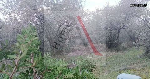 Οικόπεδο 2.809 τ.μ. για πώληση, Εύβοια, Αιδηψός
