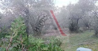 Οικόπεδο 2.809 τ.μ. για πώληση