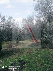 Οικόπεδο 2.809 τ.μ. για πώληση, Εύβοια, Αιδηψός-thumb-2
