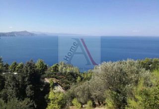 Αγροτεμάχια 8.000 τ.μ. για πώληση