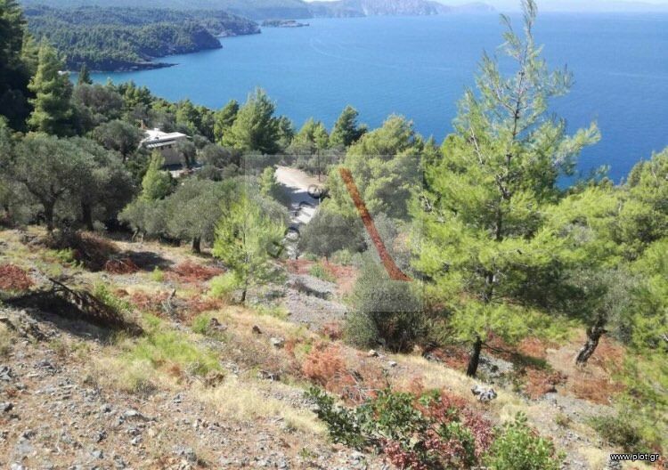 Αγροτεμάχια 8.000 τ.μ. προς πώληση, Σαρακίνικο Κηρέως