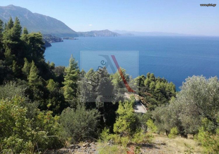 Αγροτεμάχια 8.000 τ.μ. προς πώληση, Σαρακίνικο Κηρέως