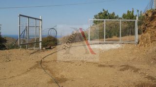 Αγροτεμάχια 4.400 τ.μ. για πώληση