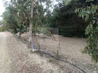 Οικόπεδο 11.250 τ.μ. για πώληση
