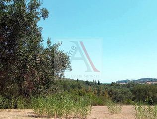 Οικόπεδο 4.980 τ.μ. για πώληση, Ν. Κέρκυρας, Κέρκυρα-thumb-2