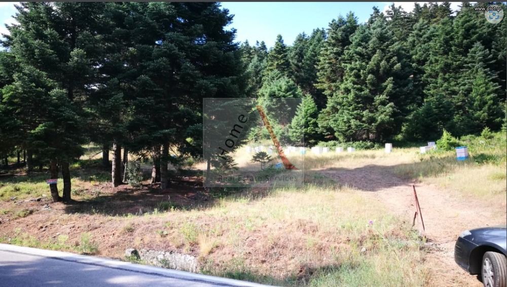 Οικόπεδο 4.650 τ.μ. προς πώληση, Βίλια Φενεού