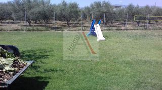 Οικόπεδο 2.000 τ.μ. για πώληση