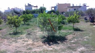 Οικόπεδο 2.000 τ.μ. για πώληση, Κορινθία, Βόχα-thumb-1