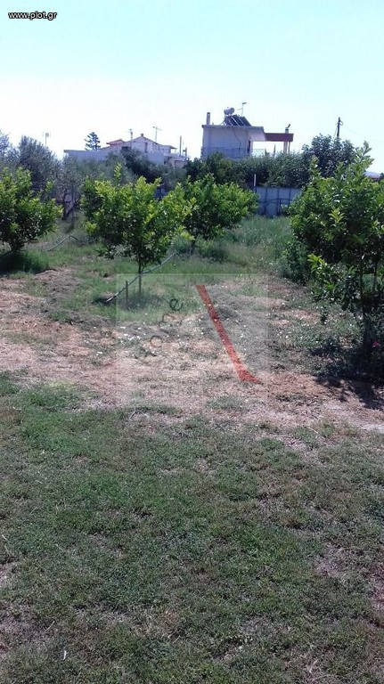 Land plot 2.000 sqm for sale, Vochaiko